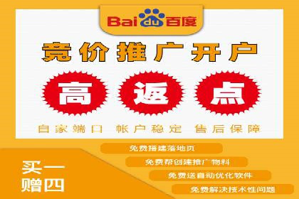 解析某某SEM服务公司的广告投放策略与效果评估