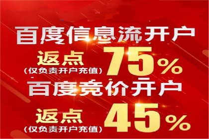 行业领先企业的SEM运营策略案例解析
